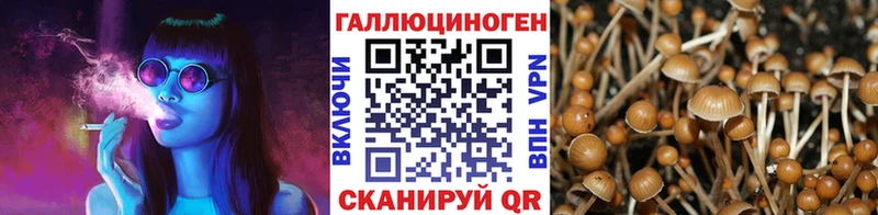 Купить закладки  Плёс  Псилоцибиновые грибы Magic Shrooms 